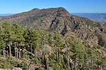 photo thumbnail #7