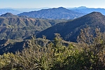 photo thumbnail #9