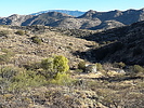 photo thumbnail #5