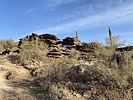 photo thumbnail #7