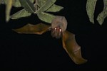 photo thumbnail #13