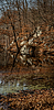 photo thumbnail #14