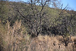 photo thumbnail #10