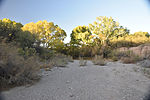 photo thumbnail #12
