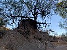 photo thumbnail #14