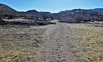 photo thumbnail #9