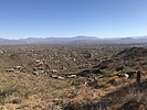 recent photo