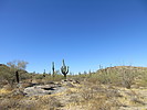 photo thumbnail #6