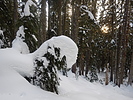photo thumbnail #14