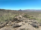 photo thumbnail #3