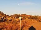 photo thumbnail #9