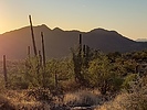 photo thumbnail #10
