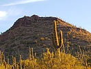 photo thumbnail #11