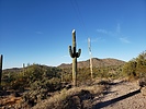 photo thumbnail #13