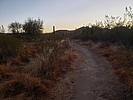 photo thumbnail #3