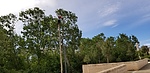 photo thumbnail #8