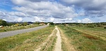 photo thumbnail #7