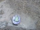 photo thumbnail #6