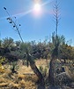 photo thumbnail #14
