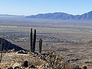 photo thumbnail #5