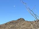 photo thumbnail #7