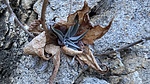 photo thumbnail #3