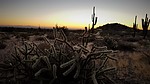 photo thumbnail #1