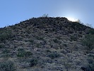 photo thumbnail #2