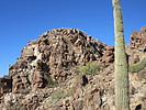 photo thumbnail #8