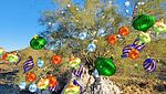 photo thumbnail #5