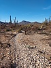 photo thumbnail #3