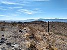 photo thumbnail #3