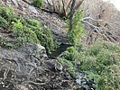 Featured Detail Photo