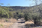 photo thumbnail #3