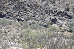 photo thumbnail #7