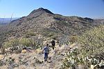 photo thumbnail #8