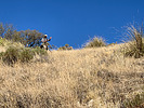 photo thumbnail #9