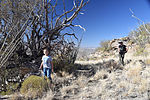 photo thumbnail #10
