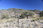 photo thumbnail #12