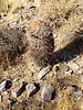 photo thumbnail #14