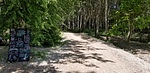 photo thumbnail #12