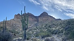 photo thumbnail #1