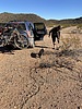 photo thumbnail #6