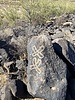 photo thumbnail #12