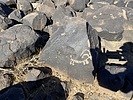 photo thumbnail #13