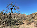 photo thumbnail #10