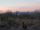 photo thumbnail #2