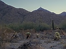 photo thumbnail #4