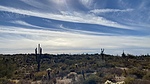 photo thumbnail #8