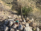 photo thumbnail #9